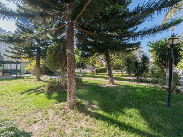 Lemon Garden 3+1 Penthouse